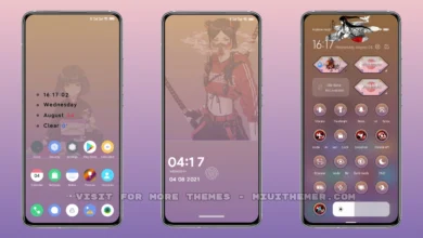 DANCU v12 MIUI Theme