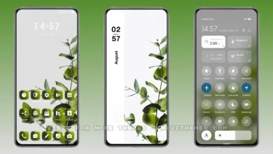 Minimal Plant MIUI Theme
