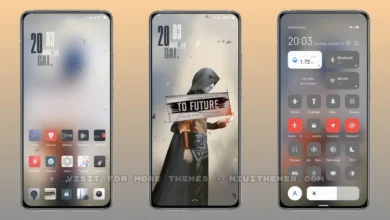 To Future MIUI Theme