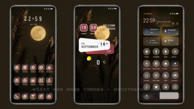 MoonLit_5 MIUI Theme