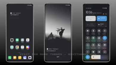 PAseo v12 MIUI Theme
