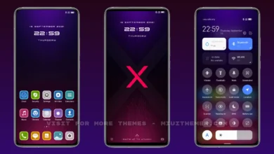 Project X MIUI Theme