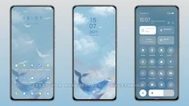 Whale the sky MIUI Theme