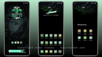 Dark Valorant MIUI Theme