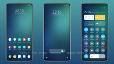 Place v12 MIUI Theme