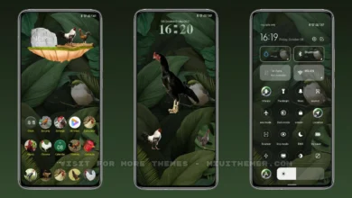 Rooster Chicken MIUI Theme