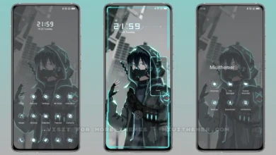 Swordsman In Black MIUI Theme