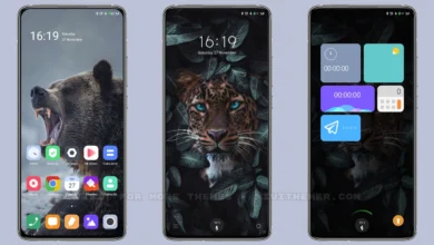 ANIMAL [WORLD] MIUI Theme