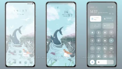 Asuka and fish MIUI Theme