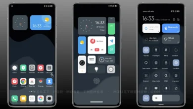 LION UI MIUI Theme