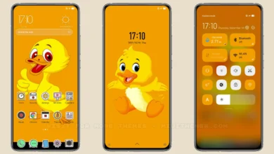 Duck MIUI Theme