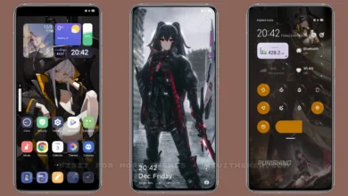 Punishing V12 MIUI Theme