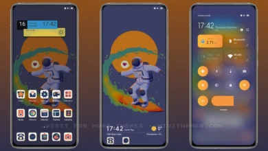 Surfeando MIUI Theme