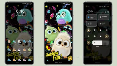 Angry Birds Space MIUI Theme