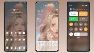 Sheila MIUI Theme