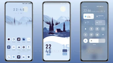 Winter view MIUI Theme