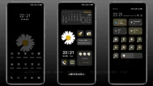 Daisy widget MIUI Theme