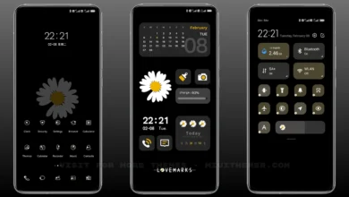 Daisy widget MIUI Theme