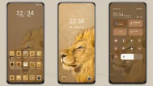 Desert lions MIUI Theme