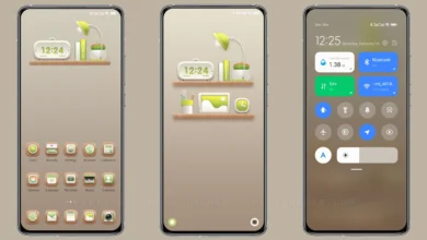 Home MIUI Theme