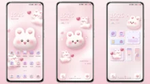 3D rice rabbit Theme