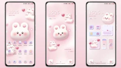 3D rice rabbit Theme