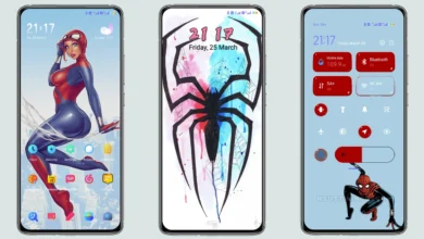 Girl Spider IZ V13 MIUI Theme