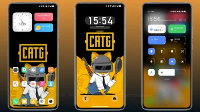 P-Catg v13 MIUI Theme