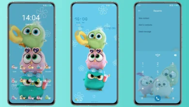Angry birds swim MIUI Theme