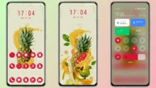 Fruit Lover_3MDP MIUI Theme