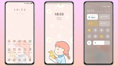 hug a duck MIUI Theme