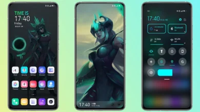 Lost Queen MIUI Theme