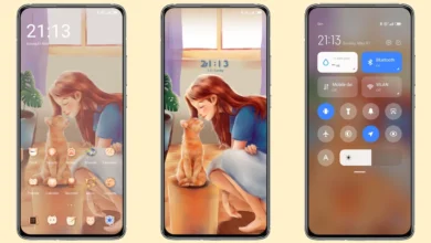 My Mr. Cat MIUI Theme