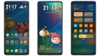 Puffers in Love MIUI Theme