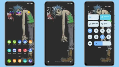 Zombie mod v12 MIUI Theme