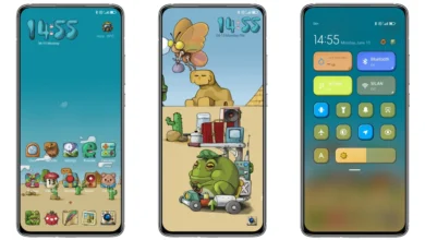 Dreaming Frog MIUI Theme