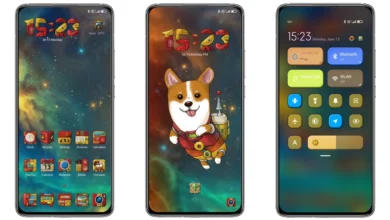 Teck Corgi MIUI Theme