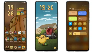 Chicken in Farm MIUI Theme