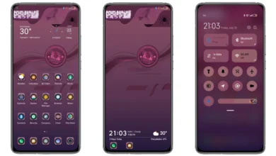 FR4NS V12.5 MIUI Theme