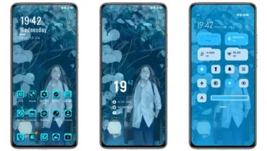 MUSHISHI V12.5 MIUI Theme