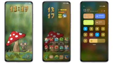 Under the Mushroom MIUI Theme