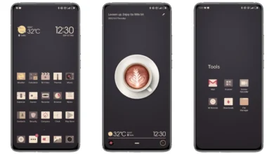 Cappuccino Theme