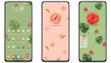 Fruit clock Theme