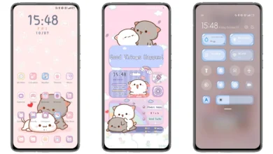 Cute Cat Theme