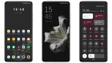black and flower Theme