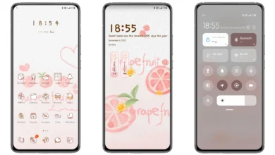 Fruit Sweetheart Theme