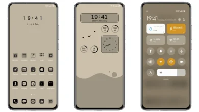 Grey cool color Theme