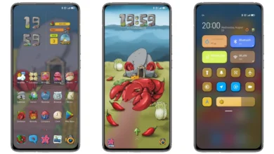 Royal Lobster Theme