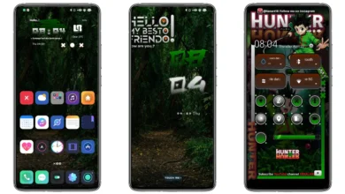 DVRK X HUNTER MIUI Theme