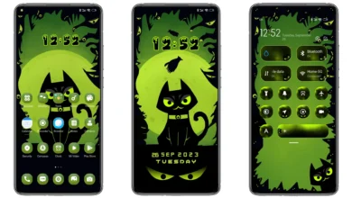 Scary Cat MIUI Theme